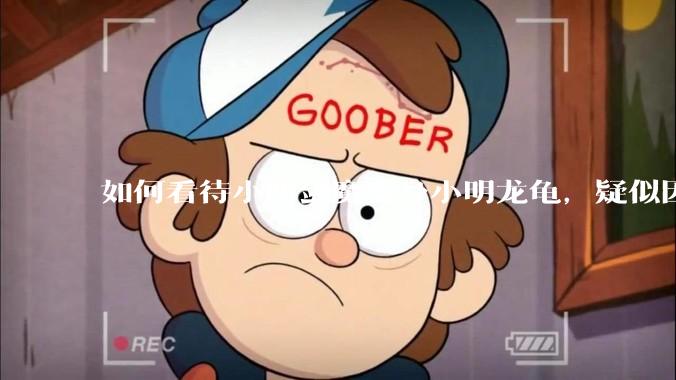 如何看待小明剑魔变身小明龙龟，疑似因为财产问题引发离婚风波？