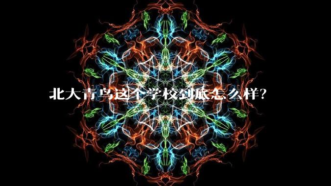 北大青鸟这个学校到底怎么样？