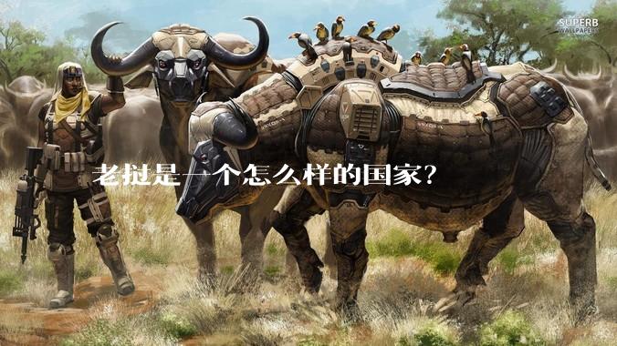 老挝是一个怎么样的国家？